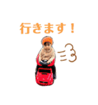 みーくんつーちゃん（個別スタンプ：16）