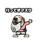 ビーグル犬ポップアップ(ダジャレ)（個別スタンプ：6）