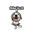 ビーグル犬ポップアップ(ダジャレ)（個別スタンプ：7）