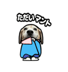ビーグル犬ポップアップ(ダジャレ)（個別スタンプ：10）