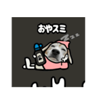 ビーグル犬ポップアップ(ダジャレ)（個別スタンプ：12）