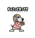 ビーグル犬ポップアップ(ダジャレ)（個別スタンプ：16）