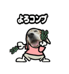 ビーグル犬ポップアップ(ダジャレ)（個別スタンプ：19）