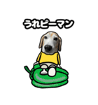 ビーグル犬ポップアップ(ダジャレ)（個別スタンプ：20）