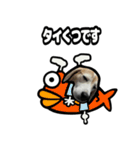 ビーグル犬ポップアップ(ダジャレ)（個別スタンプ：22）