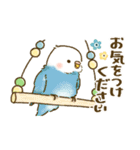 敬語が話せる！もふもふインコ（個別スタンプ：15）