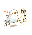 敬語が話せる！もふもふインコ（個別スタンプ：24）