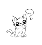 狂乱チワワ（個別スタンプ：1）