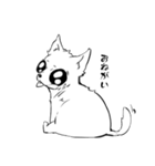 狂乱チワワ（個別スタンプ：5）