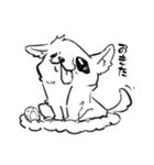 狂乱チワワ（個別スタンプ：9）