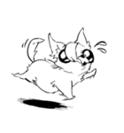 狂乱チワワ（個別スタンプ：13）