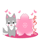 ちびハスキー14【春】（個別スタンプ：4）