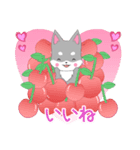 ちびハスキー14【春】（個別スタンプ：7）