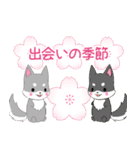 ちびハスキー14【春】（個別スタンプ：12）
