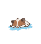 毎日可愛いシーズー gguni-chu ！（個別スタンプ：8）
