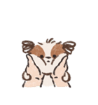 毎日可愛いシーズー gguni-chu ！（個別スタンプ：23）
