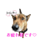 可愛い子たちのスタンプ第一弾（個別スタンプ：6）