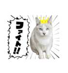 可愛い子たちのスタンプ第一弾（個別スタンプ：7）