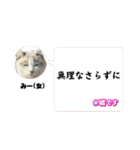 可愛い子たちのスタンプ第一弾（個別スタンプ：10）