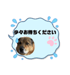 可愛い子たちのスタンプ第一弾（個別スタンプ：12）