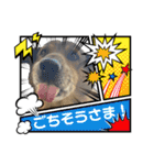 可愛い子たちのスタンプ第一弾（個別スタンプ：13）