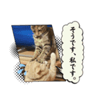 可愛い子たちのスタンプ第一弾（個別スタンプ：15）