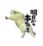 可愛い子たちのスタンプ第一弾（個別スタンプ：19）