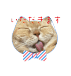 可愛い子たちのスタンプ第一弾（個別スタンプ：20）