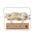 可愛い子たちのスタンプ第一弾（個別スタンプ：21）