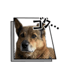 可愛い子たちのスタンプ第一弾（個別スタンプ：22）