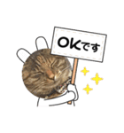 可愛い子たちのスタンプ第一弾（個別スタンプ：23）