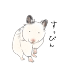 hemhemjpのどうぶつ絵ん8（個別スタンプ：6）