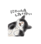 hemhemjpのどうぶつ絵ん8（個別スタンプ：10）