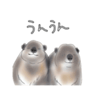 hemhemjpのどうぶつ絵ん8（個別スタンプ：12）