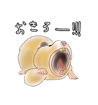 hemhemjpのどうぶつ絵ん8（個別スタンプ：15）