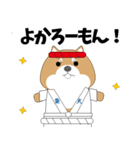 博多弁！ バリきゃっちーな柴犬ちゃん（個別スタンプ：1）