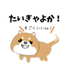 博多弁！ バリきゃっちーな柴犬ちゃん（個別スタンプ：6）