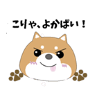 博多弁！ バリきゃっちーな柴犬ちゃん（個別スタンプ：8）