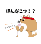 博多弁！ バリきゃっちーな柴犬ちゃん（個別スタンプ：9）