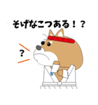 博多弁！ バリきゃっちーな柴犬ちゃん（個別スタンプ：11）