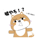 博多弁！ バリきゃっちーな柴犬ちゃん（個別スタンプ：13）