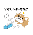 博多弁！ バリきゃっちーな柴犬ちゃん（個別スタンプ：14）