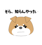 博多弁！ バリきゃっちーな柴犬ちゃん（個別スタンプ：17）