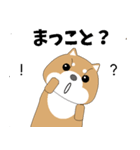 博多弁！ バリきゃっちーな柴犬ちゃん（個別スタンプ：18）