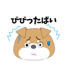 博多弁！ バリきゃっちーな柴犬ちゃん（個別スタンプ：19）