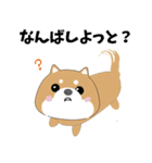 博多弁！ バリきゃっちーな柴犬ちゃん（個別スタンプ：21）