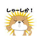 博多弁！ バリきゃっちーな柴犬ちゃん（個別スタンプ：24）