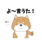 博多弁！ バリきゃっちーな柴犬ちゃん（個別スタンプ：25）