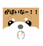 博多弁！ バリきゃっちーな柴犬ちゃん（個別スタンプ：26）