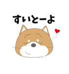 博多弁！ バリきゃっちーな柴犬ちゃん（個別スタンプ：31）